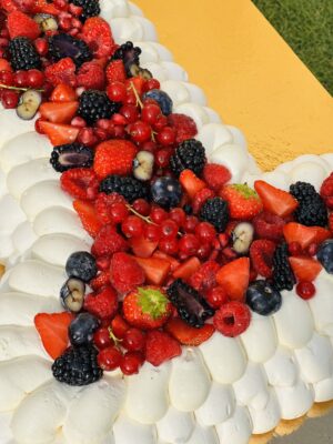 Pavlova – Image 3